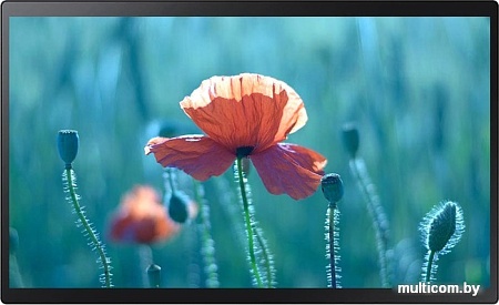 Интерактивная панель Samsung QB24R-T