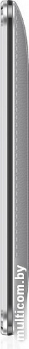 Мобильный телефон Maxvi X850 Silver