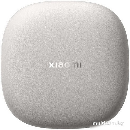 Наушники Xiaomi OpenWear Stereo M2503E1 (титановый серый, международная версия)