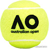 Мяч Dunlop Australian Open (4 шт)