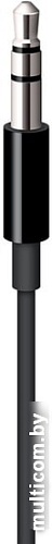 Кабель Apple MR2C2ZM/A