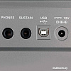 Синтезатор Medeli A100