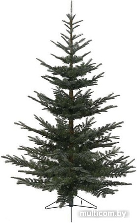 Ель GreenTerra Нобилис 2.4 м