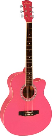 Акустическая гитара Elitaro E4010 PI