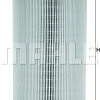Mahle Knecht LX913
