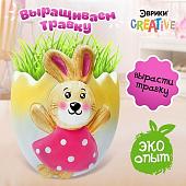 Набор для опытов Эврики Выращиваем травку. Зайка 6911657