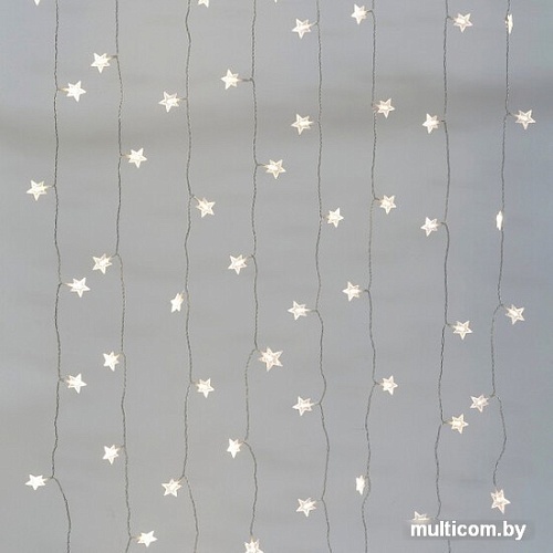 Световой дождь ЭРА ERAPS-SP1