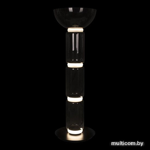 Торшер LOFT IT Noctambule 10192F/M
