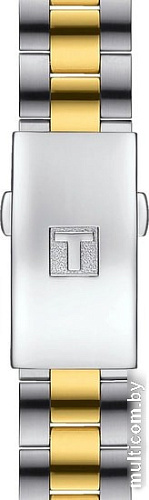 Наручные часы Tissot PR 100 Sport Chic T101.910.22.111.00