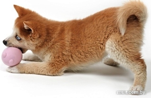 Игрушка для собак EBI Petit Balu 309/449462