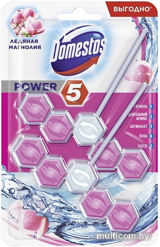 Средство для унитаза Domestos Power 5 Ледяная магнолия Дуо 2х55 г
