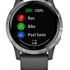 Умные часы Garmin Vivoactive 4 (серый/серебристый)