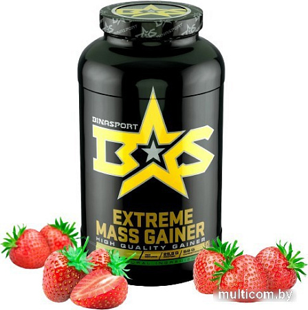Протеин Binasport Extreme Mass Gainer (1500г, клубника)