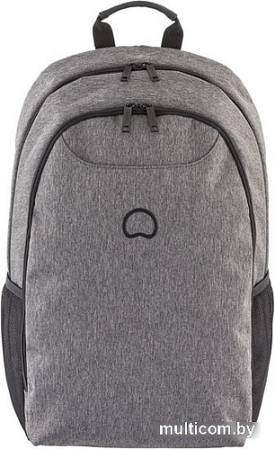 Рюкзак Delsey Esplanade 00394260301