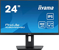 Монитор Iiyama ProLite XUB2492HSU-B6