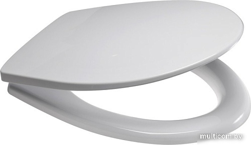Сиденье для унитаза Berges Wasserhaus Star PP 026304