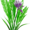 Искусственное растение Barbus Апоногетон курчавый с цветком Plant 029/50 (зеленый)