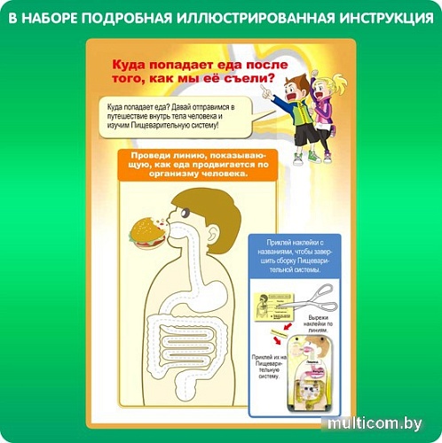 Набор для опытов Bondibon Японские опыты. Система пищеварения ВВ4727