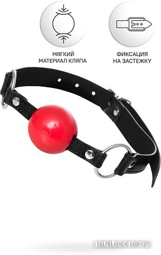 Кляп классический TOYFA 310305