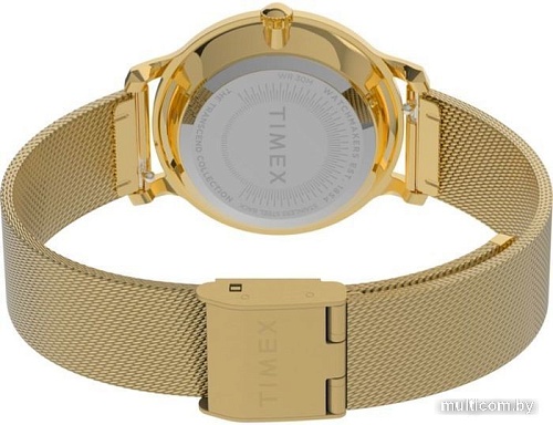 Наручные часы Timex Transcend TW2V51900
