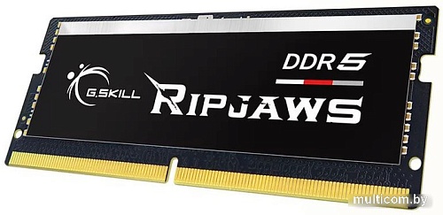Оперативная память G.Skill Ripjaws 16ГБ DDR5 SODIMM 4800МГц F5-4800S4039A16GX1-RS