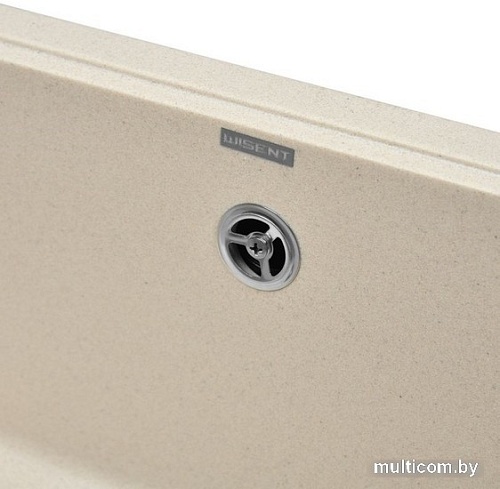 Кухонная мойка Wisent 580-30WQ (с сифоном GER011)