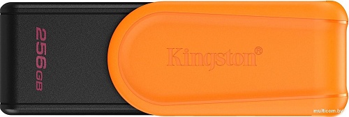 USB Flash Kingston DataTraveler Exodia S 256GB DTXS/256GB