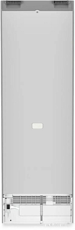 Однокамерный холодильник Liebherr Rsfd 5220 Plus