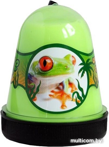 Слайм Jungle Slime Лягушка BS300-140