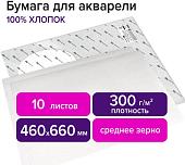 Набор бумаги для рисования BRAUBERG Art Premiere 113231 (10 л)