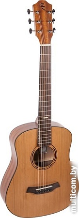 Акустическая гитара Baton Rouge AR11C/TB