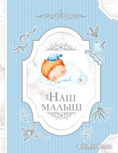 Фотоальбом АСТ. Наш малыш 978-5-17-151694-9