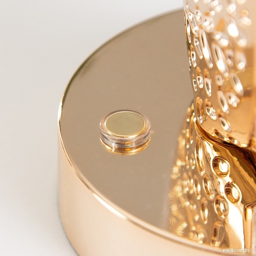 Торшер Risalux Лендис 10222074 (золото)