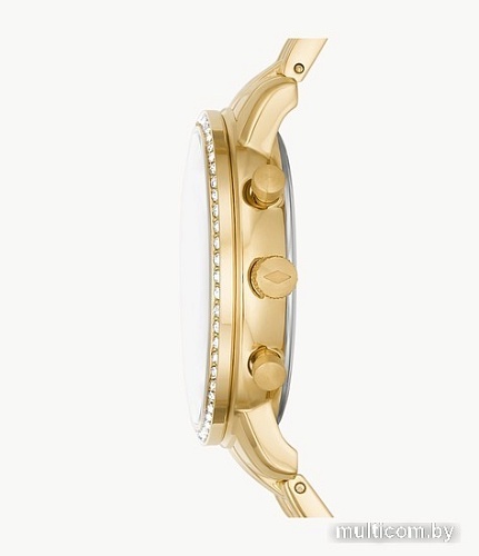 Наручные часы Fossil Neutra ES5219