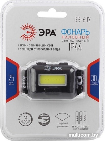 Фонарь ЭРА GB-607