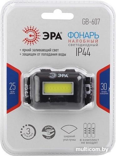 Фонарь ЭРА GB-607