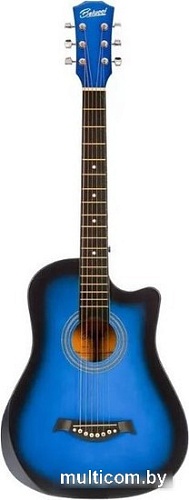 Акустическая гитара Belucci BC-C38 BLS