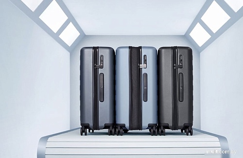 Чемодан-спиннер 90 Ninetygo Rhine Pro Luggage 20 (розовый)