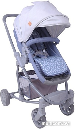 Универсальная коляска Lorelli Aster (2 в 1, синий/серый)
