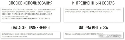 Аминокислоты Binasport BCAA (500г, черная смородина)