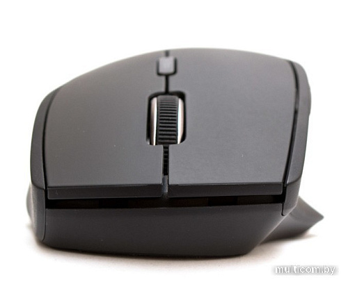 Мышь Rapoo MT550