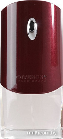 Givenchy Pour Homme EdT (100 мл)