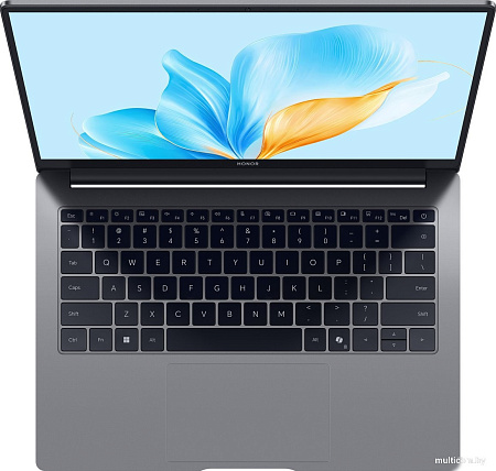 Ноутбук HONOR MagicBook X14 2025 FRG-X 5301ALWG
