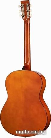 Акустическая гитара Homage LF-3900