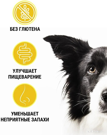 Сухой корм для собак Trainer Natural для мелких пород с сыровял. ветчиной, рис и маточн мол. 0.8 кг