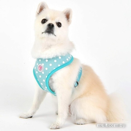 Шлейка Pinkaholic Ida NAUA-HA7624-MT-S (мятный)