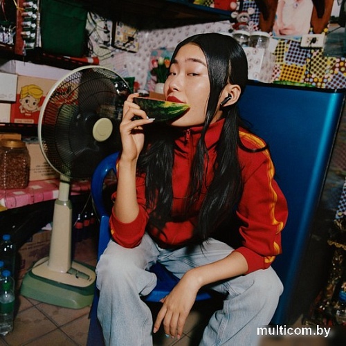 Наушники Marshall Minor IV