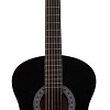 Акустическая гитара Terris TF-3805A BK