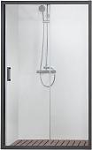 Душевая дверь Aquatek AQ ARI RA 10020BL 100x200 (черный/прозрачное стекло)