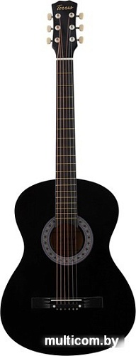 Акустическая гитара Terris TF-3805A BK